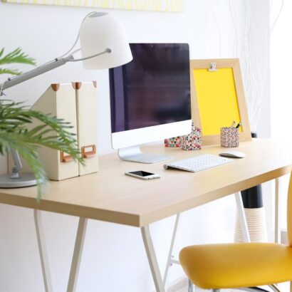 Home Office de-cultterd with a plant